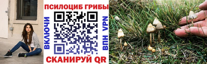 Галлюциногенные грибы MAGIC MUSHROOMS  Купить  Шахунья 